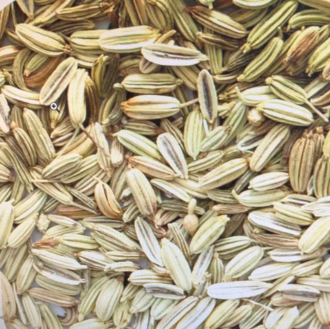 Fennel Seed