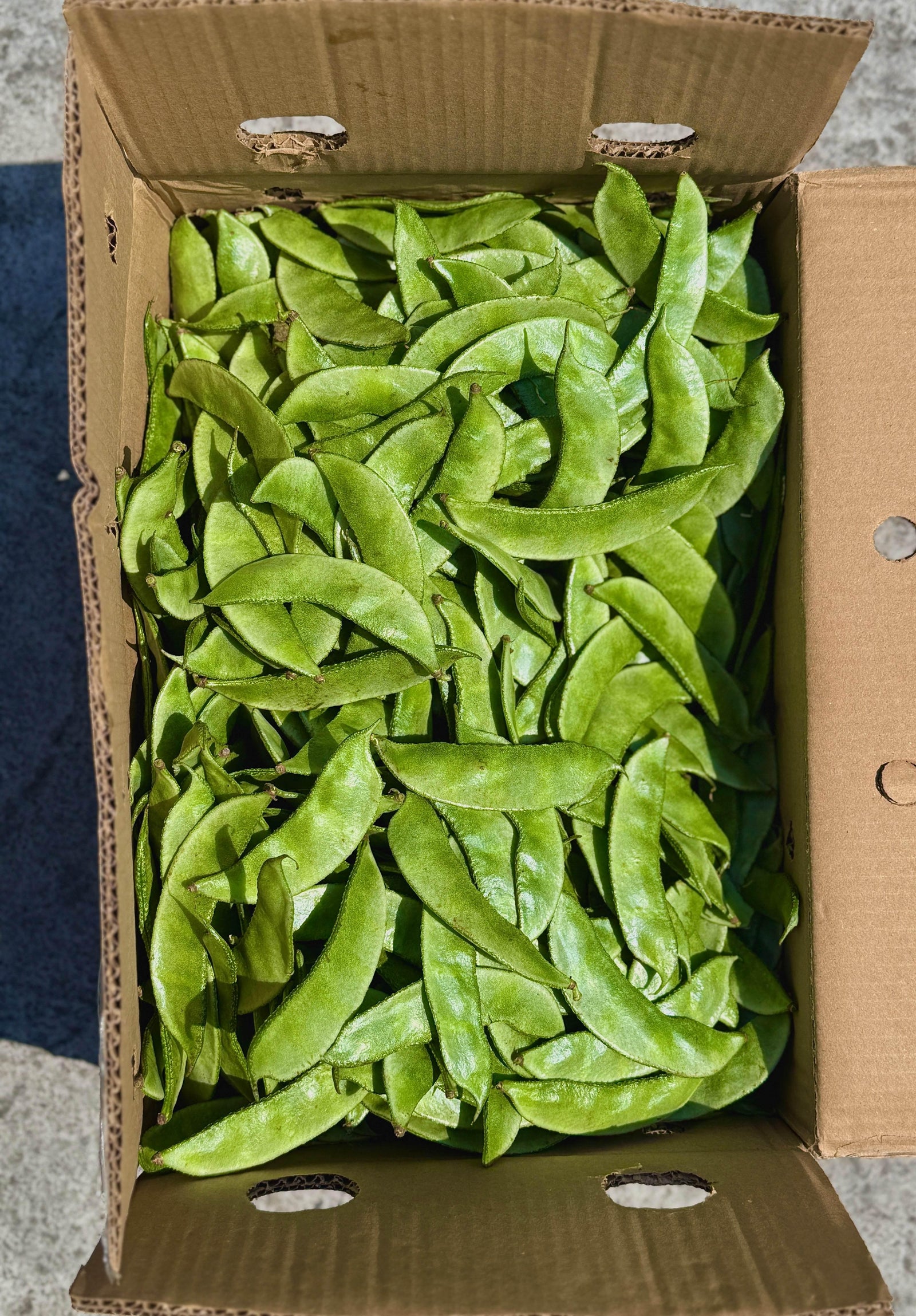Fresh শিম Snap Bean 500g - AL MODINA