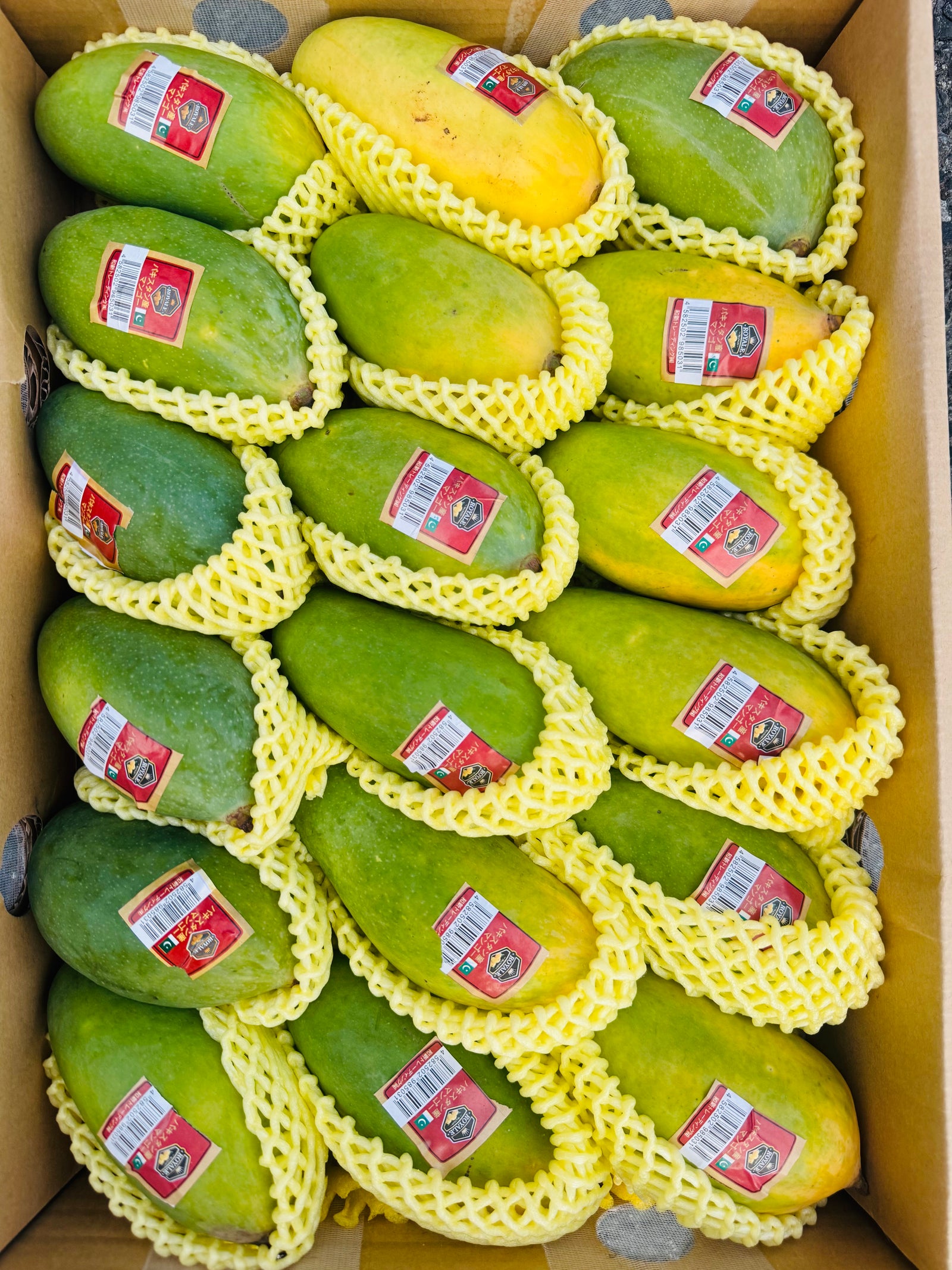 Mango 2025 From Pakistani Sindhri 