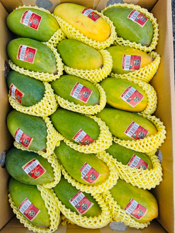 Mango 2025 From Pakistani Sindhri 