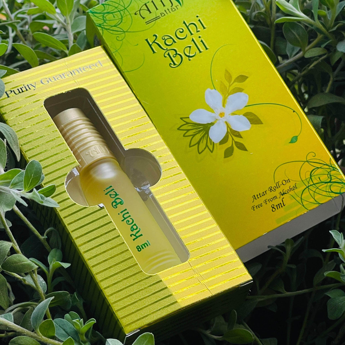KACHI BELI ATTAR 8ml - AL MODINA