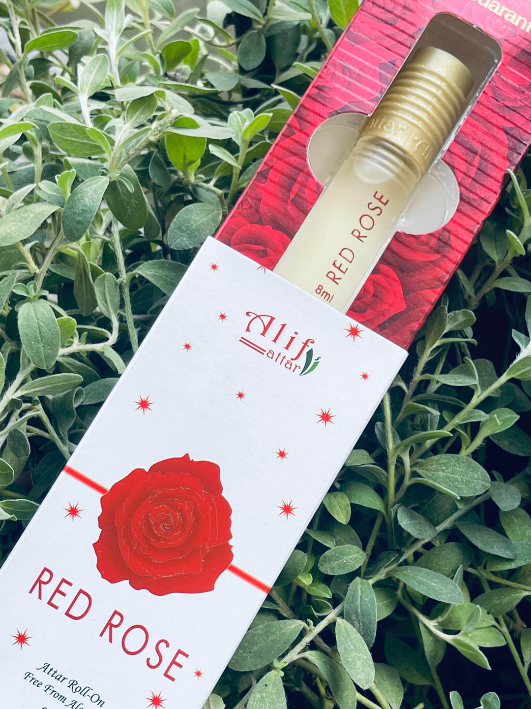 RED ROSE ATTAR 8ml - AL MODINA