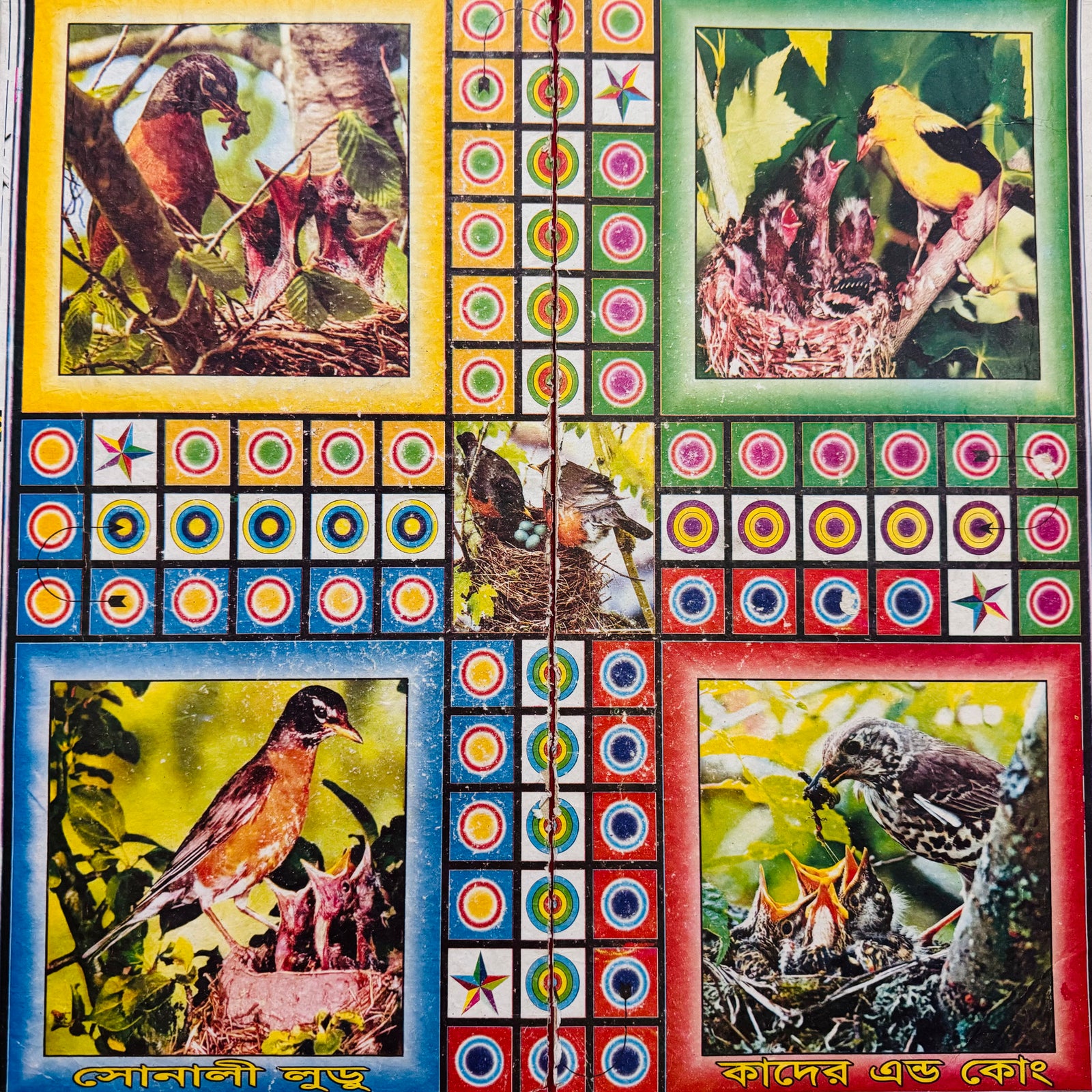 LODO BOARD - AL MODINA