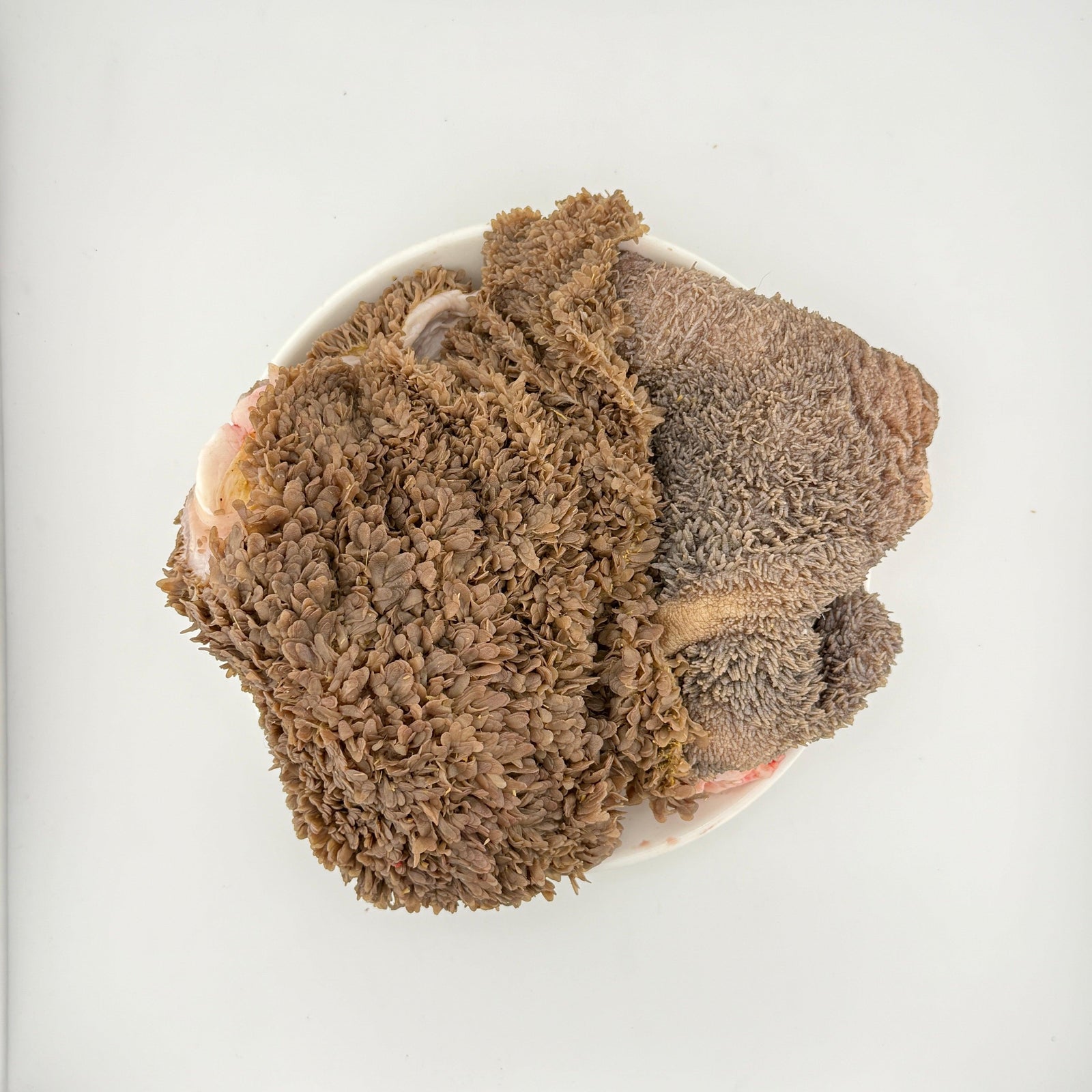 Raw beef tripe on a white plate, showing textured, honeycomb surface