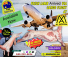 Fresh Whole Lamb From Australia 1kg Non Frozen - AL MODINA