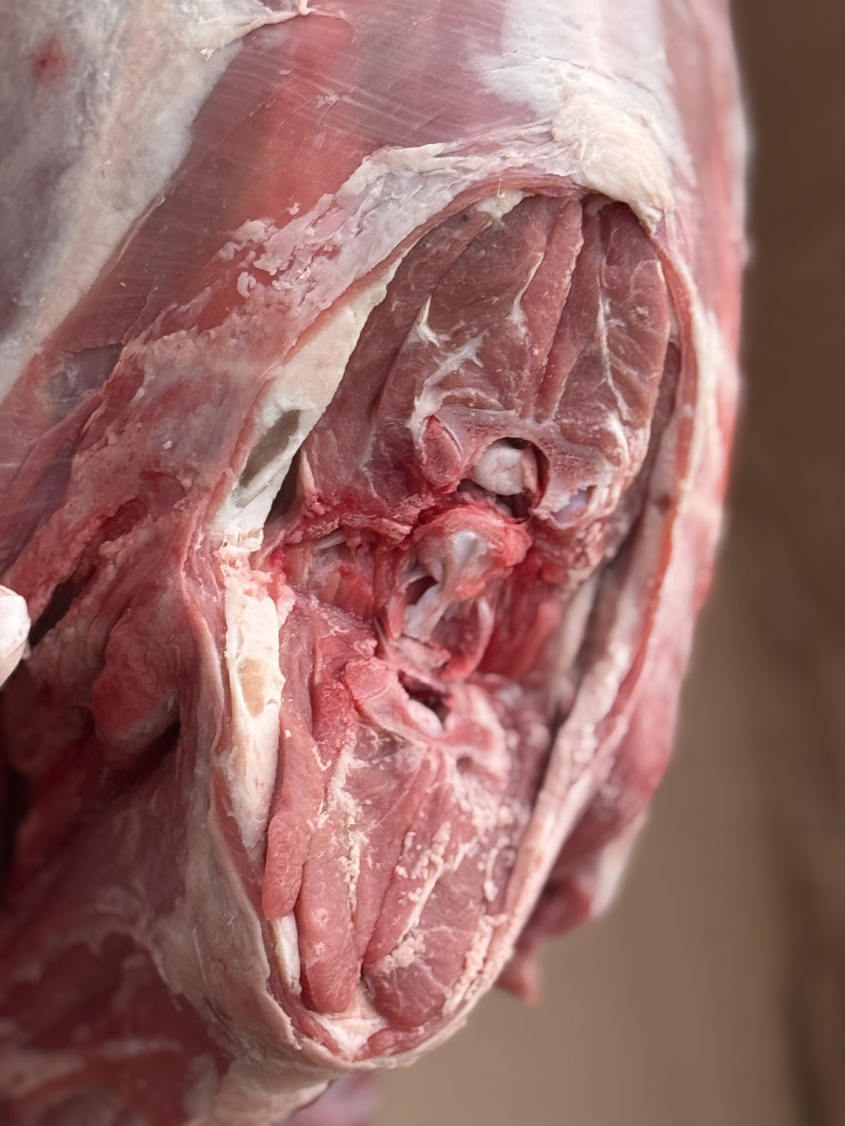 Fresh Whole Lamb From Australia 1kg Non Frozen - AL MODINA