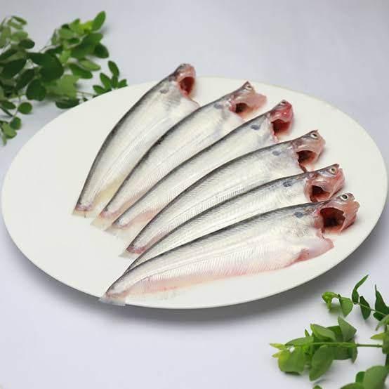 Pabda fish - AL MODINA