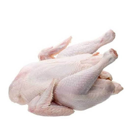 Fresh japan chicken  1 PC 2.2Kg  up