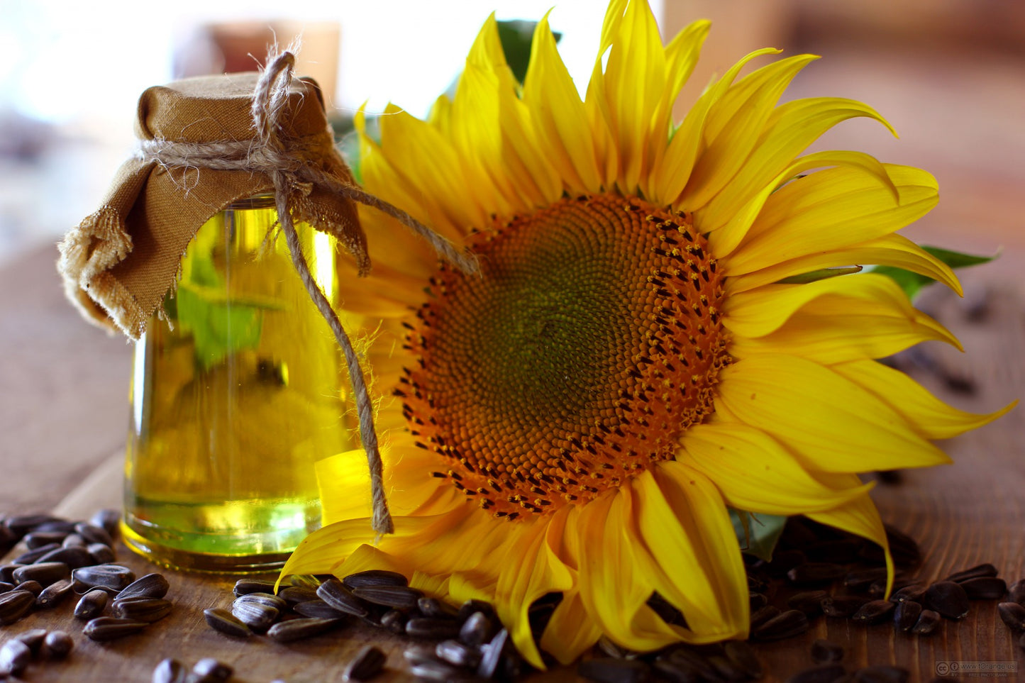 Sunflower oil 5KG