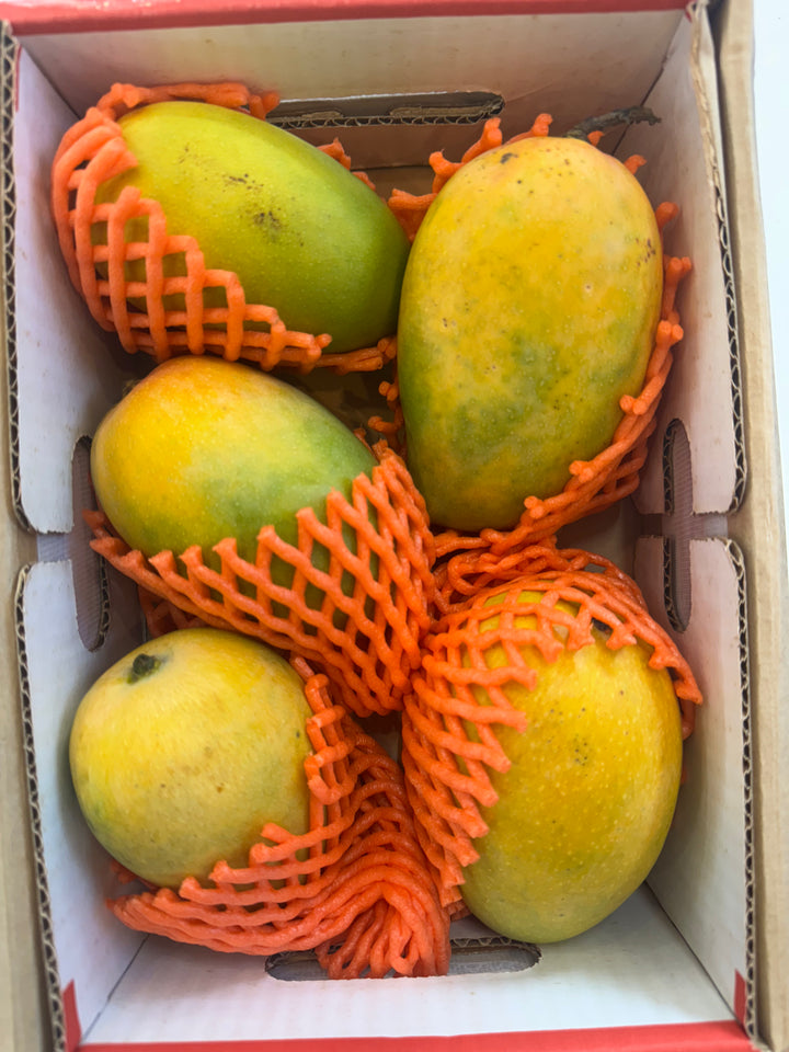 Fresh Indian Mango 4-5 pieces