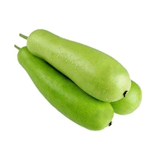 Three fresh green bottle gourds isolated on white background