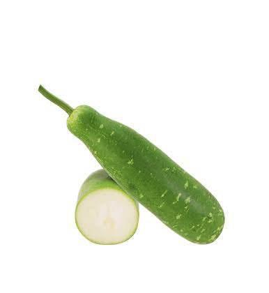 Whole and sliced green bottle gourd vegetable isolated on white background