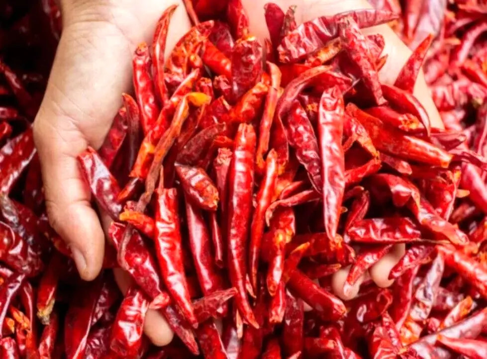 Whole dry chilli thailand