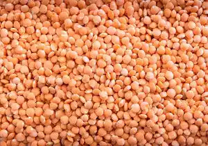 Masoor Dal Whole