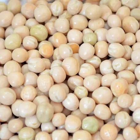 White Peas 1 kg - AL MODINA