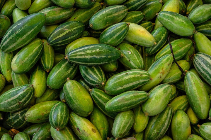 Fresh potol 500 gram - AL MODINA