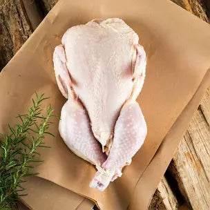 Whole raw chicken placed on brown parchment paper with fresh rosemary on wooden surface