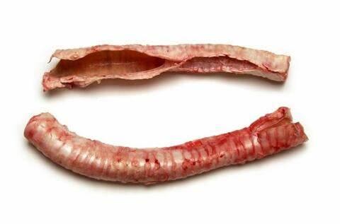 Beef Trachea 牛のウルテ - AL MODINA