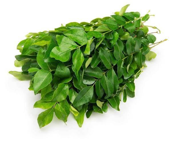 FRESH Curry Leaves - AL MODINA