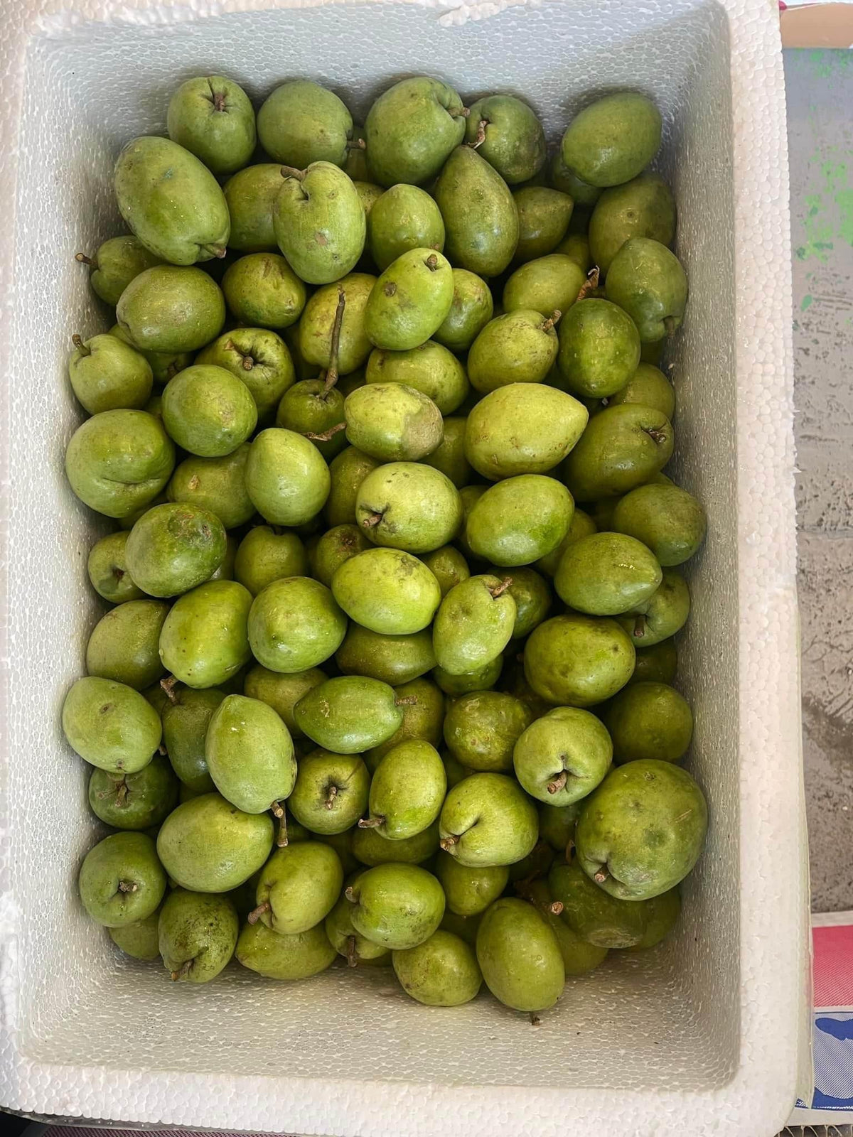 Fresh Olive Per Kg জলপাই তাজা বাংলাদেশি - AL MODINA
