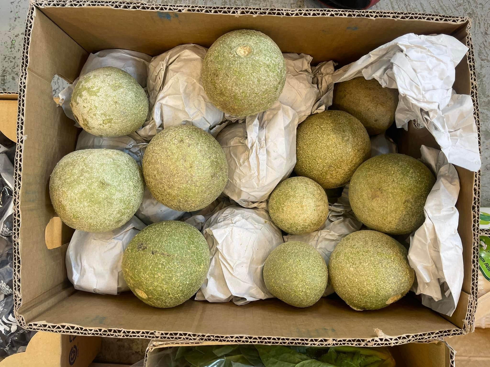 কদবেল Wood apple per kg তাজা বাংলাদেশি - AL MODINA