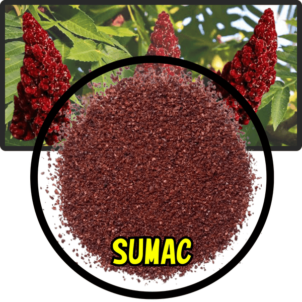 Sumac spice powder in front of ripe red sumac fruit clusters on green leaves