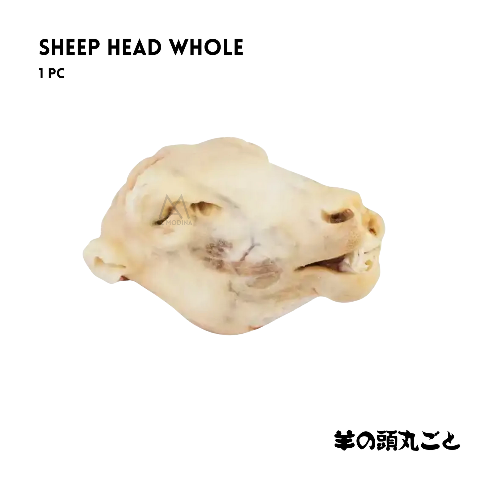 Halal sheep head whole 1 piece in Japan by AL MODINA Halal Food