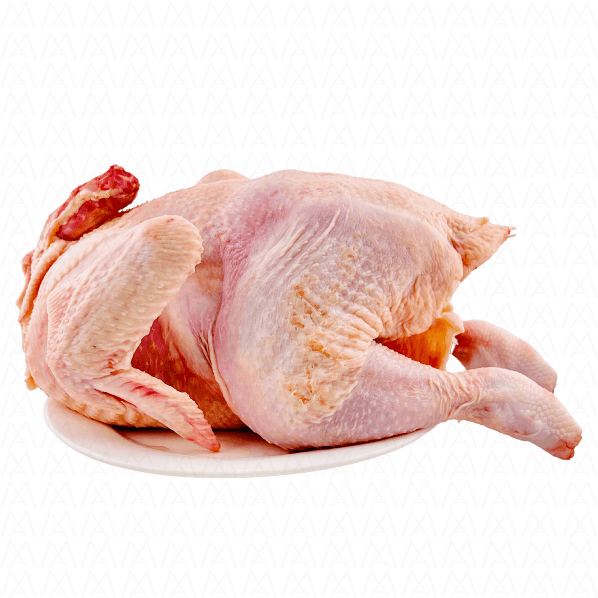 Fresh Japan Chicken – 1 Whole (2.2Kg & Up) | Halal & Premium Quality - AL MODINA
