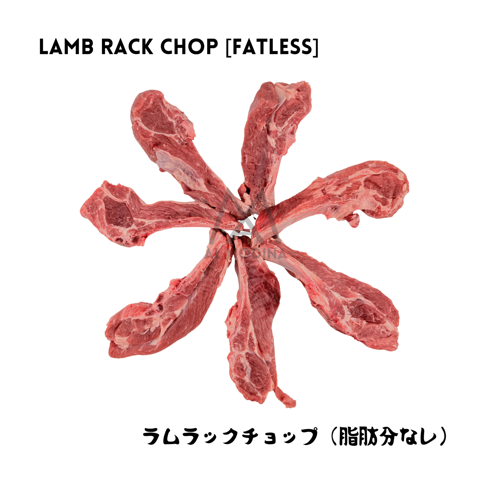 Seven raw, fresh halal fatless lamb rack chops arranged in a circular star pattern. Features the AL MODINA Halal Food logo with English and Japanese text indicating "Lamb Rack Chop (Fatless)"