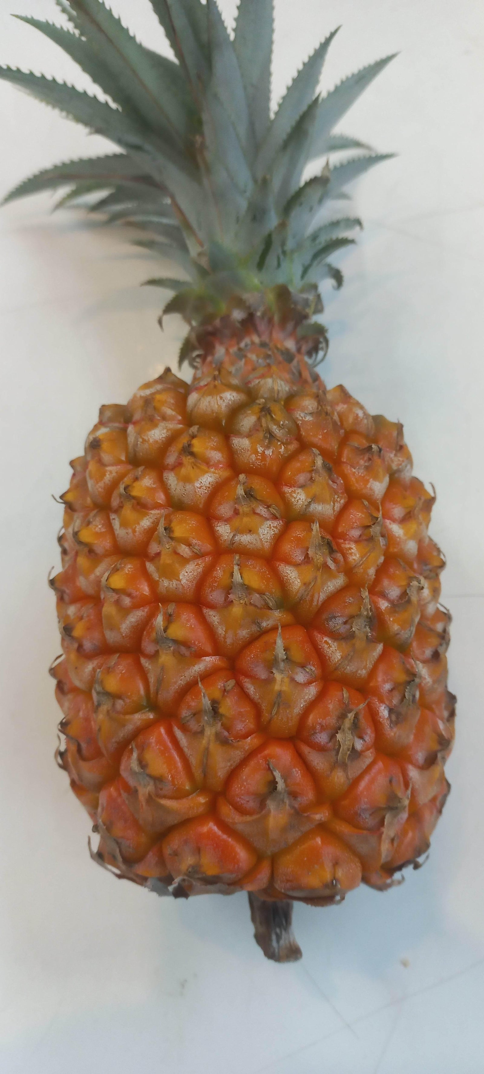 pineapple - AL MODINA