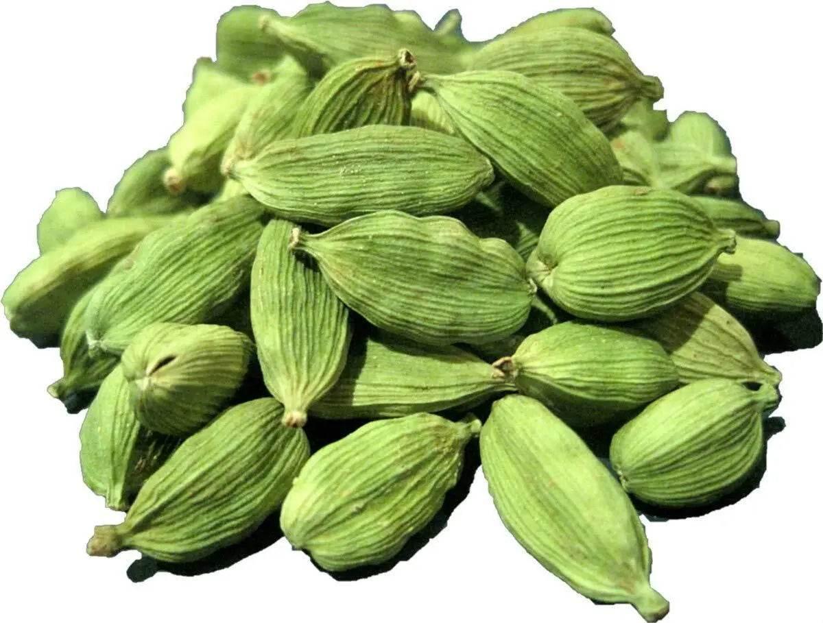 Close-up of whole green cardamom pods pile isolated on white background