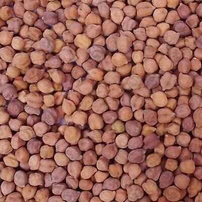 Black Chana 1kg - AL MODINA
