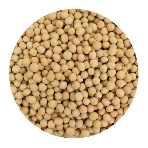 Close-up of raw soybeans in a circular frame, showing natural beige color and smooth texture
