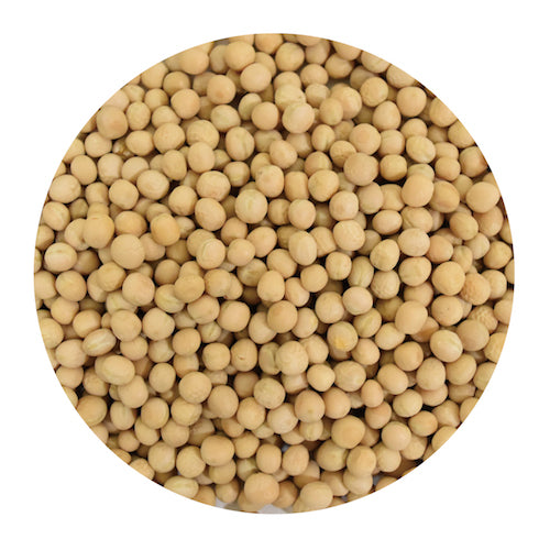 WHITE Peas 1KG (চটপটি ডাল)