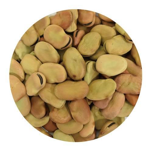 Close-up of dried broad beans with beige and brown hues in a circular frame