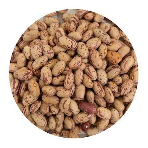 Close-up of dry pinto beans with speckled beige and brown patterns in a circular frame