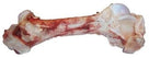 Fresh large raw beef marrow bone with visible bone and meat sections isolated on white background