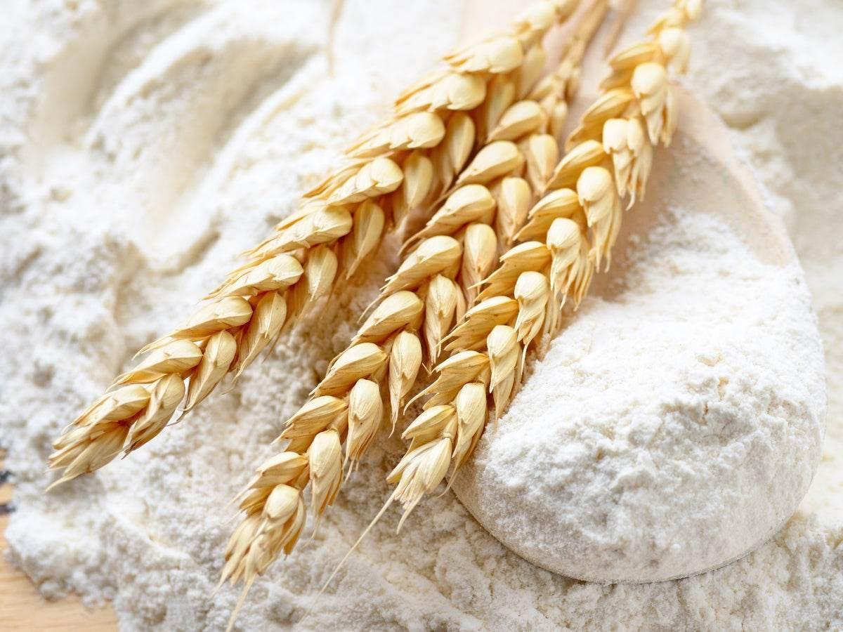 Close-up of wheat ears on a wooden spoon filled with white flour pile