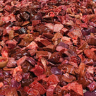 Close-up of assorted fresh raw organ meats including liver and heart pieces