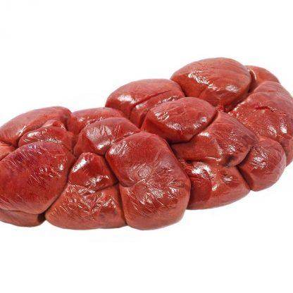 Raw beef kidney with a shiny red surface on a white background, fresh pet food ingredient