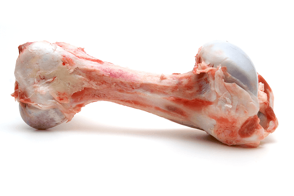 Raw beef marrow bone with some meat and fat on white background