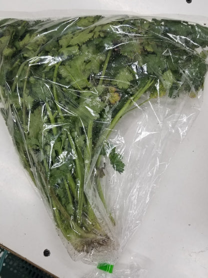 CORIANDER FRESH ~100G