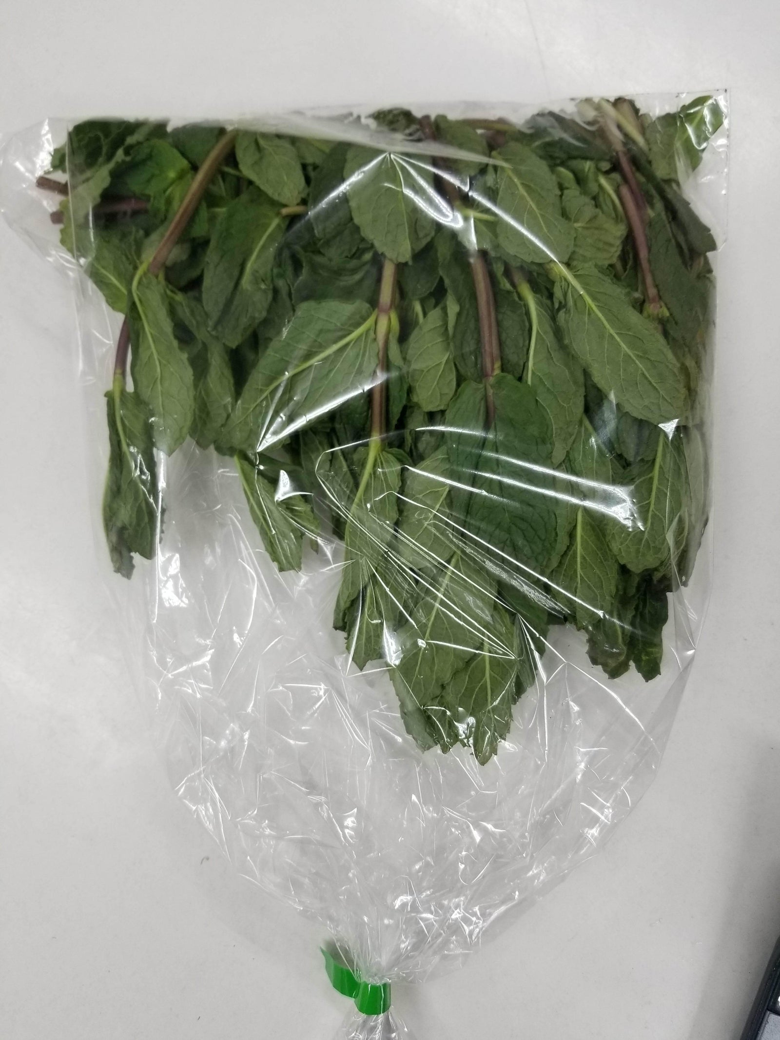 Fresh green mint leaves bunch wrapped in clear plastic packaging on white background