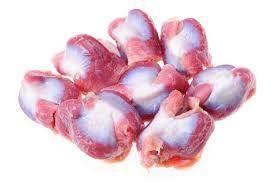 Raw chicken gizzards isolated on white background, fresh poultry meat