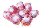 Raw chicken gizzards isolated on white background, fresh poultry meat