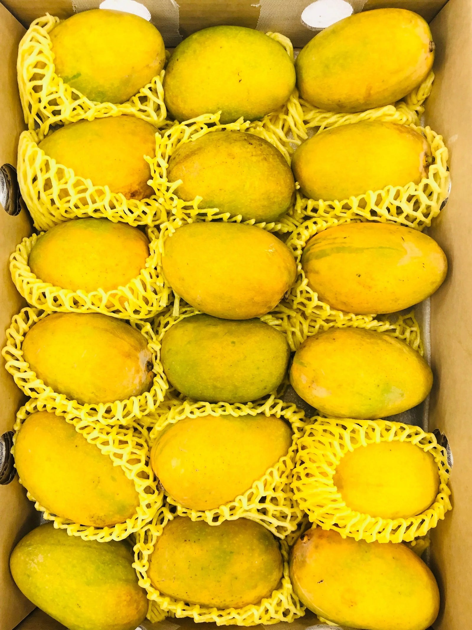 Fresh Chaunsa mangoes from Pakistan 4.7–5kg box at AL MODINA Japan