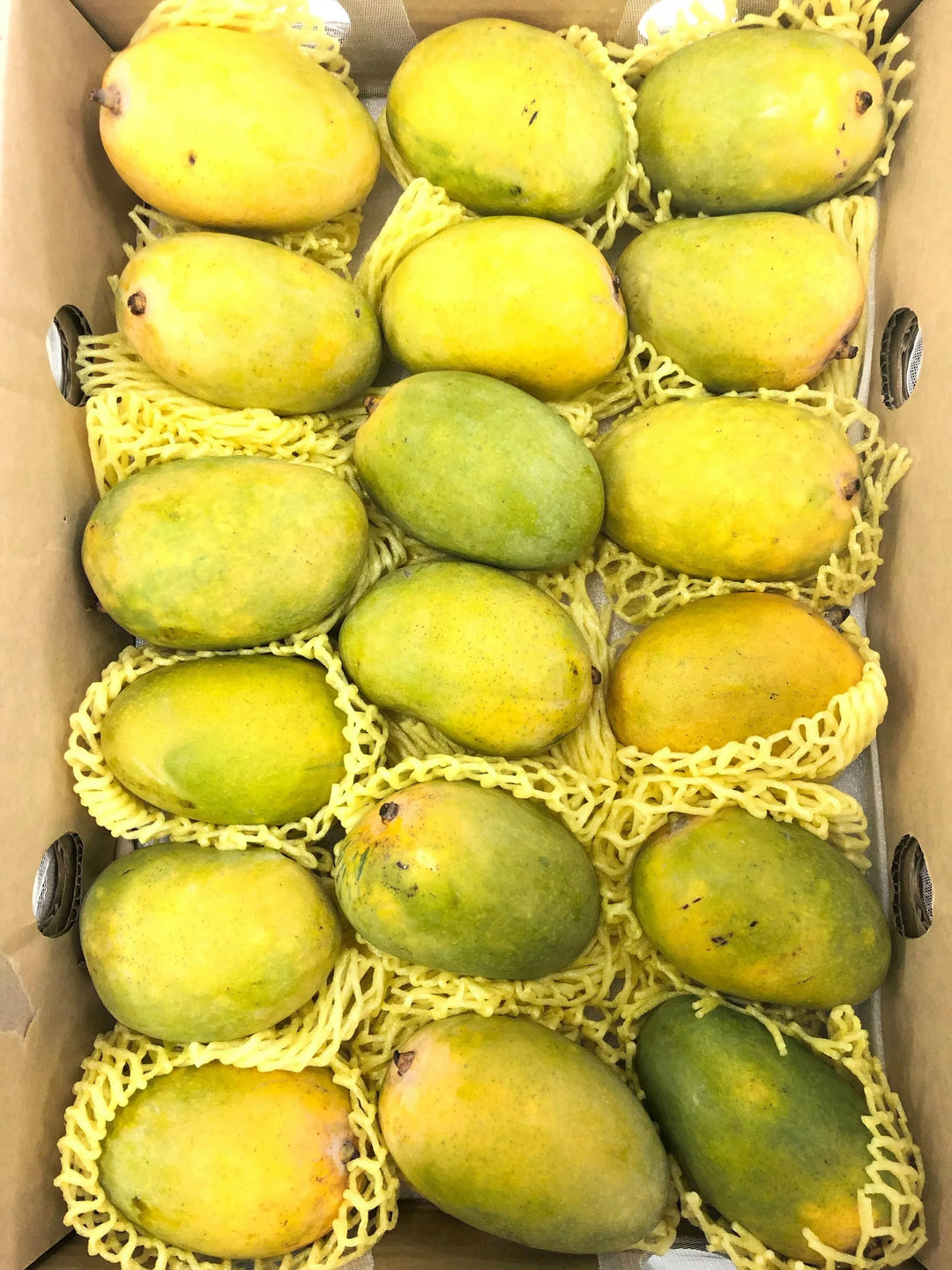 Fresh Chaunsa mangoes from Pakistan packed in yellow foam nets