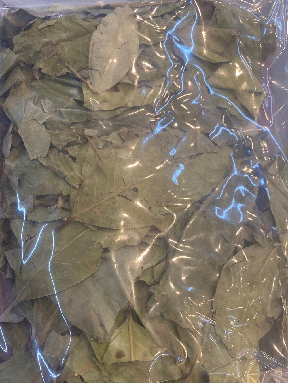 DRIED BAY LEAF(DAUN SALAM) - AL MODINA