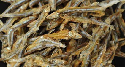 Halmasso Dry Fish 300g