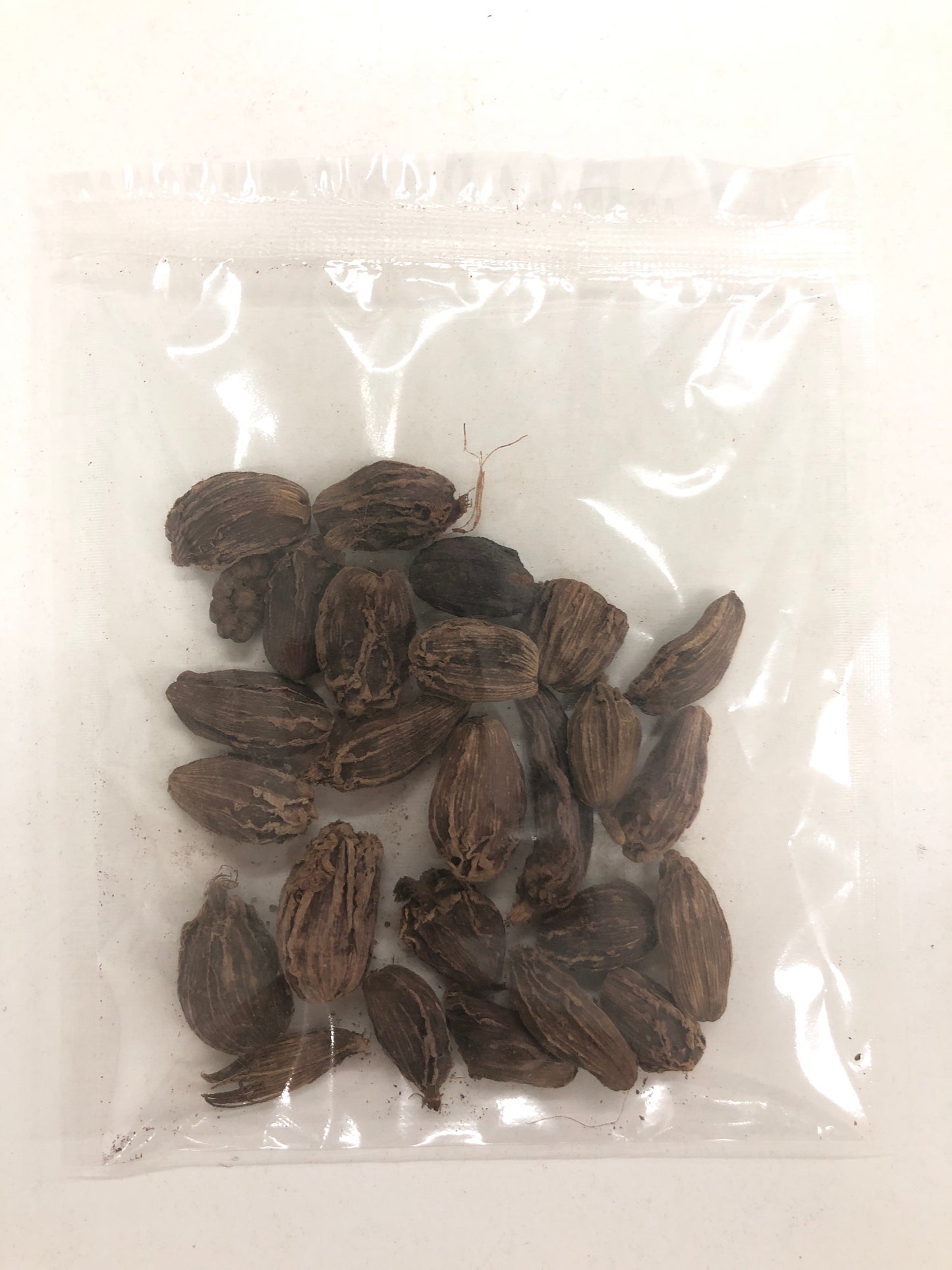 Big Brown Cardamom